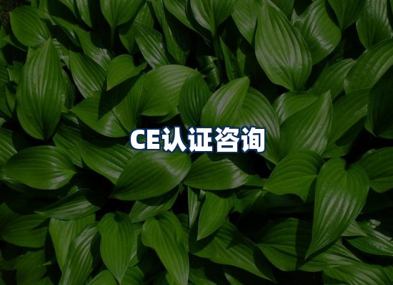 CE认证咨询服务场景